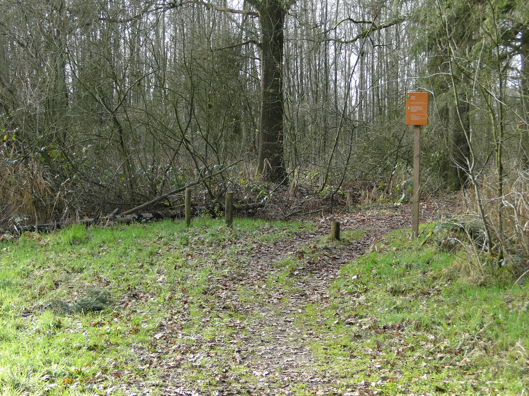 NWK 2012 022.jpg